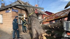 Огнеборцы СПСЧ оказали содействие АМС г. Владикавказа в распиле дерева