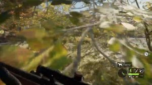 theHunter: Call of the Wild - сфотографировать европейскую лань на фоне Кенигсбергского озера