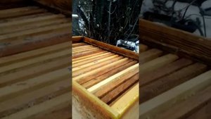 Хранение суши зимой.