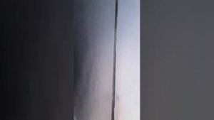 Николь Фаворит, Сузуки 115,