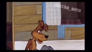 ДЖАВИД | ВСЕ ОЗВУЧКИ [RUSTAM MAYER]