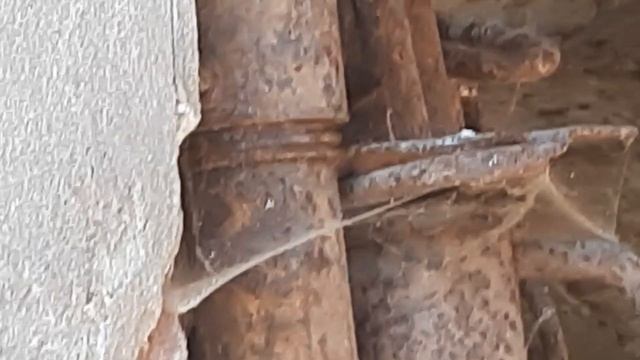 ЖижевыеМозги или ещё какие жуткости, но вид у всего этого не из приятных.Все вРаботе по разрушению смотреть онлайн