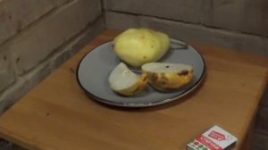 груша мария дегустация то что растет в сибири