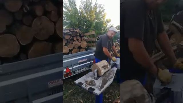 BELMASH LSG-500 Дровокол кинетический смотреть онлайн