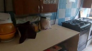 очень уютная комната в коммуналке 17 кв м всего за 730 тыс казазская 80/1 Ростов на Дону 8928144606