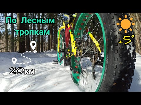 Катаю по Лесным Тропкам / Фэтбайк / 19.03.22