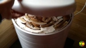 Грибной порошок: сушка грибов (подберезовики)