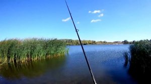 Вперёд за трофейной  щукой ))) Хорватское яйцо,первый опыт ловли