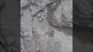 Отделка рисунком из бетона стены