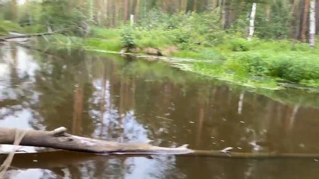 Старательский туризм , отдых кто в теме смотреть онлайн