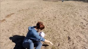 This Is Hobby Horsing