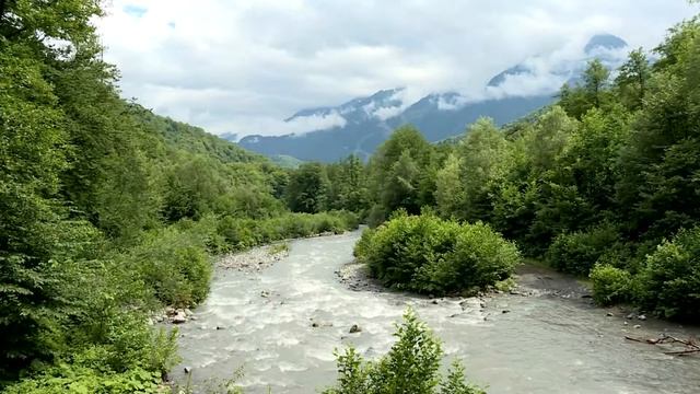 Волонтеры в Кавказском заповеднике Сочи смотреть онлайн