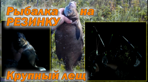 Рыбалка на РЕЗИНКУ Крупный лещ.mp4