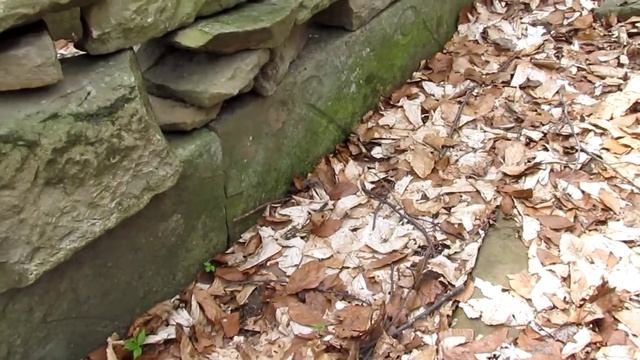 Путешествие в Лесо-Кяфарь. Город Солнца смотреть онлайн