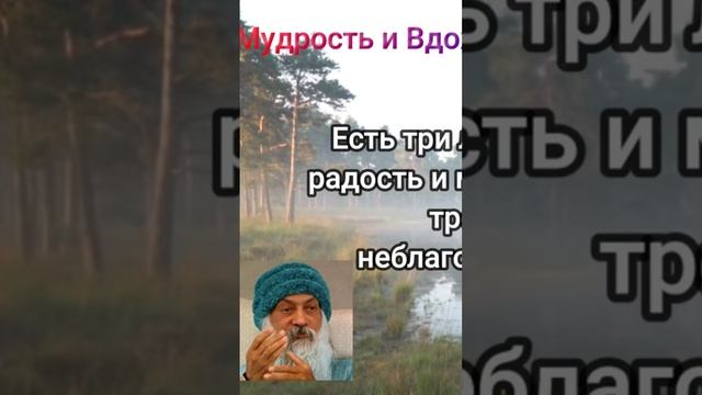ОШО три ловушки которые воруют радость #мудрыеслова смотреть онлайн