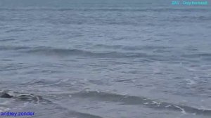 Всё так и было...