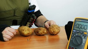 Как получить электричество из картошки. Фонарик из картофеля