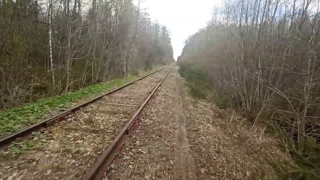 ЖД линия земцы жарковский. с 15 по 20 километр. до платформы Откос. поездка на rieju mrt 50. смотреть онлайн