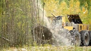 Что остается в лесу после прохода Мульчера ТРОМ 8 УЭС