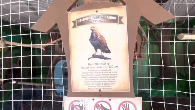 Vlog#5 Едем в Сочи Парк,гуляем по парку? смотреть онлайн