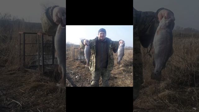 КТО КУДА А Я НА РЫБАЛКУ? смотреть онлайн