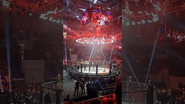 #АСА165 #palestine ВЫХОД НА БОЙ ЮСУФА РАИСОВА☝️☝️ #грозный #чечня смотреть онлайн