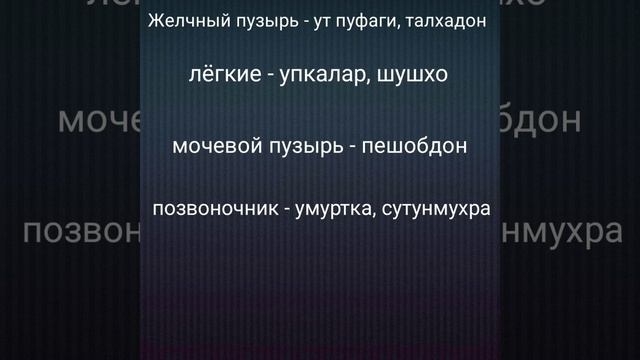 ИЗУЧАЕМ ТЕЛО ЧЕЛОВЕКА, ТАНА АЪЗОЛАРИНИ УРГАНАМИЗ, АЪЗОХОИ БАДАНРО МЕОМУЗЕМ