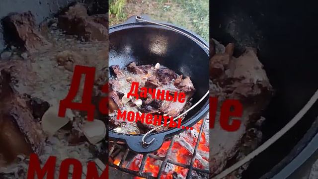 Дачные моменты... #дача #дачныйвлог #сезон2023 #огородныедела