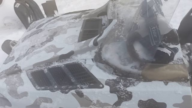 снежок