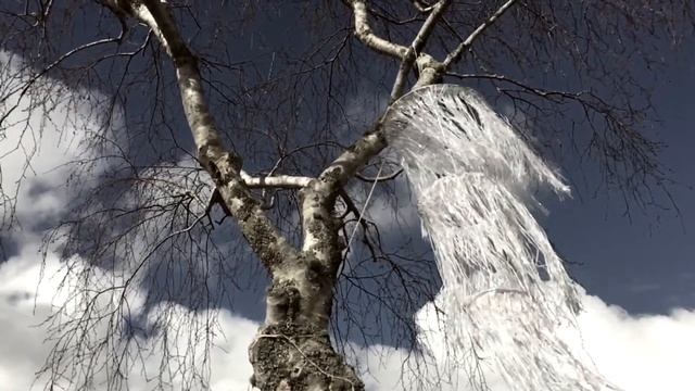 Высокая любовь. Сказки для взрослых, Татьяна Трембовецкая.