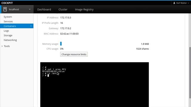 Docker Container Volume and Enviroment Variables смотреть онлайн
