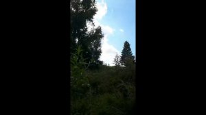 Исчезнувшая деревня Жеребчиха