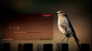 Шайтон нимадан қўрқади! муфтий Нуриддин хожи домла