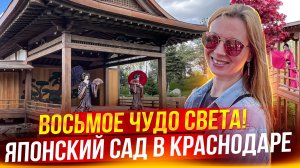 Японский сад в Парке Галицкого. Полный обзор. Как попасть без очереди?