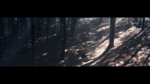 L one - буду молодым.