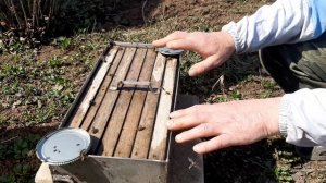 ПАСЕКА.ПЧЕЛОВОДСТВО. Поилка для пчёл.