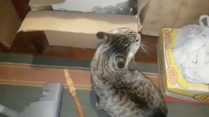 В ЭТОЙ КОМНАТЕ НЕ УБИРАЛИ ГОД. ТОННЫ ПЫЛИ И ГРЯЗИ. УБОРКА В КВАРТИРЕ