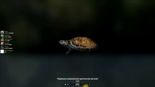 Черепаха оливковая, ловля черепах в игре, Трофейная рыбалка 2
