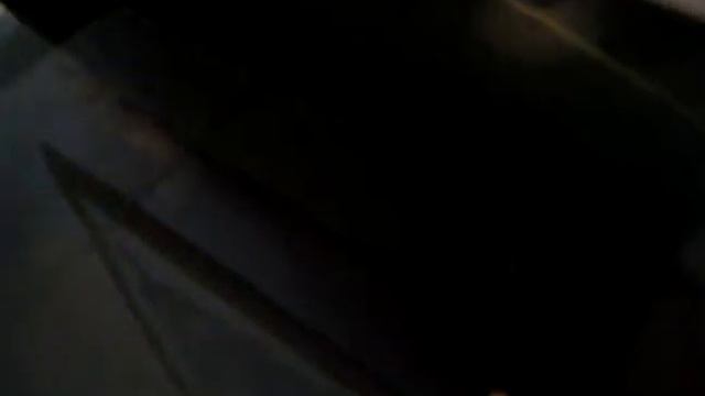 Red Eared Slider Terrapin Eating смотреть онлайн