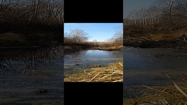 Красота Сибири