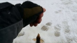 23.02.2022 рыбалка на реке Сить.