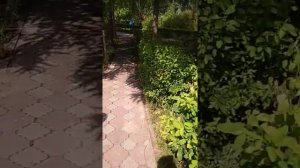 Парк Отель Мечта. Омская область. Чернолучье.