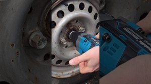 Все тот же крокодил и 4 Гайковертов. ЖАРА. Открутят или нет?