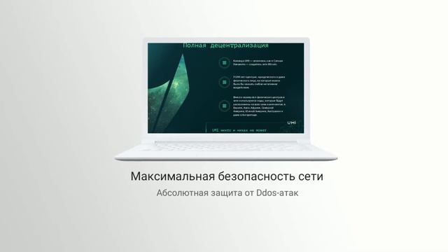 Криптовалюта UMI. Обзор криптовалюты ЮМИ.