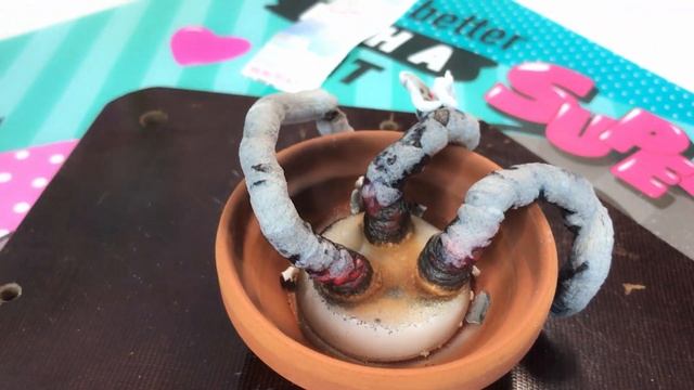 Химия фараонова змея опыт  Как сделать вулкан Chemistry смотреть онлайн