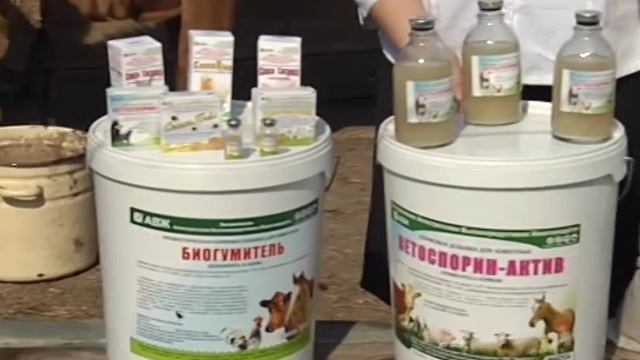 Кормовые добавки для животных. Комплекс эффективных микроорганизмов