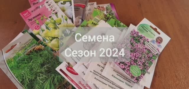 Семена. Сезон 2024