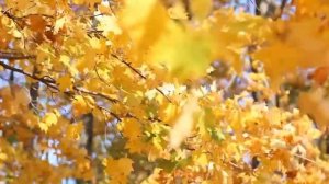 Почему мне так плохо, хотя все вроде бы нормально