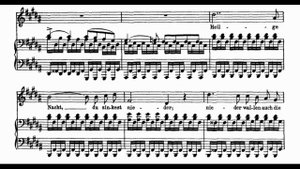 Ночь и грёзы (Nacht und Träume) — Ф. Шуберт | Исполняет Андрей Киселев