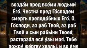 НЕ ЗАБУДЬ СКАЗАТЬ СПАСИБО СВОЕМУ АНГЕЛУ. Вечернее правило слушать онлайн. Вечерн.mp4